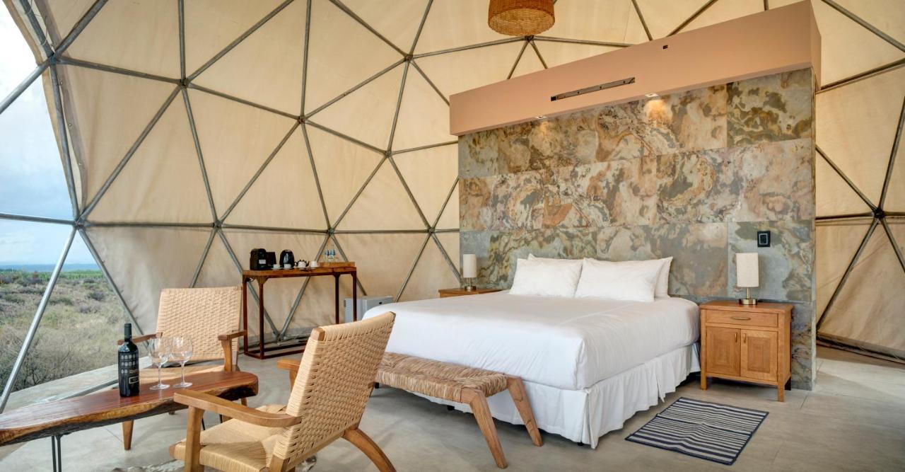 Alpasion Lodge Tunuyan Ngoại thất bức ảnh