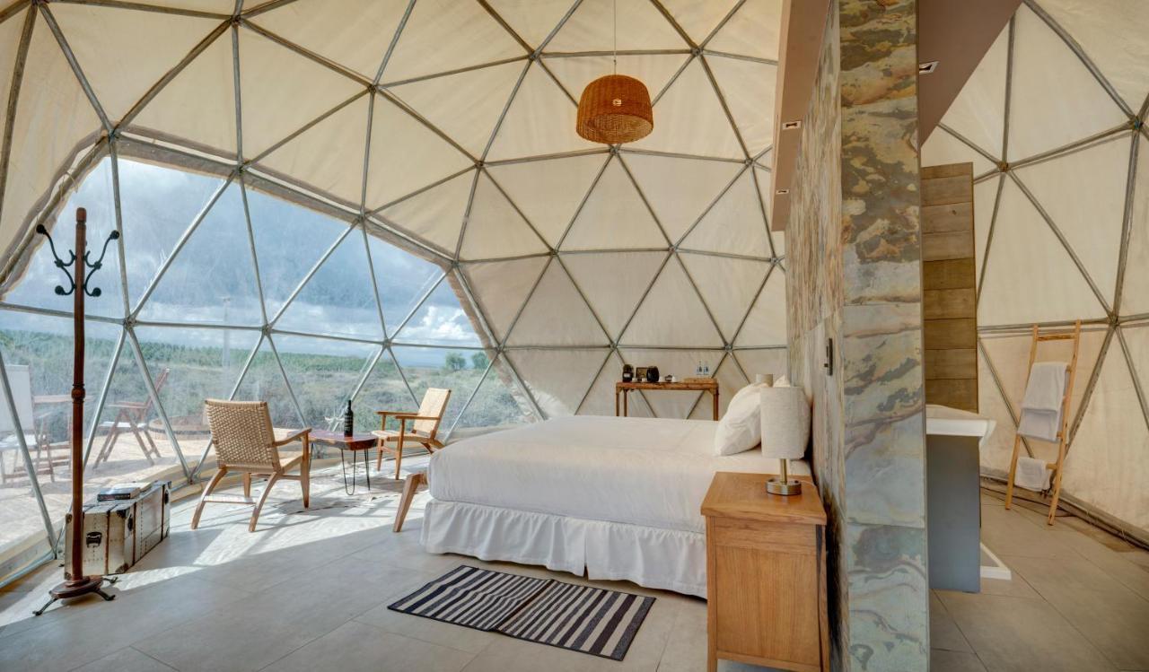 Alpasion Lodge Tunuyan Ngoại thất bức ảnh